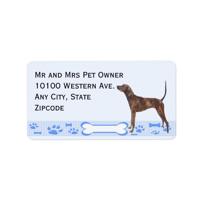 Plott på Blue Gingham Adressetikett (Framsidan)