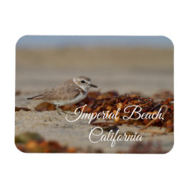 Plover och Sjögräs Imperial Beach, Kalifornien Magnet