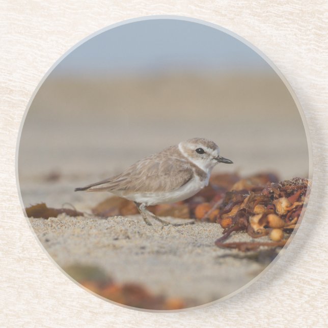 Plover och Sjögräs Underlägg (Framsidan)