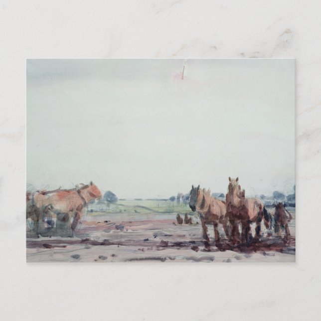 Plow Horses Vykort (Framsida)
