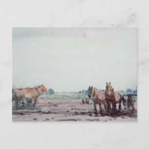 Plow Horses Vykort