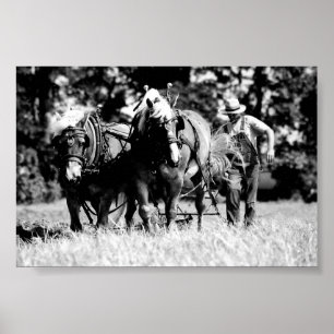Plowing Poster