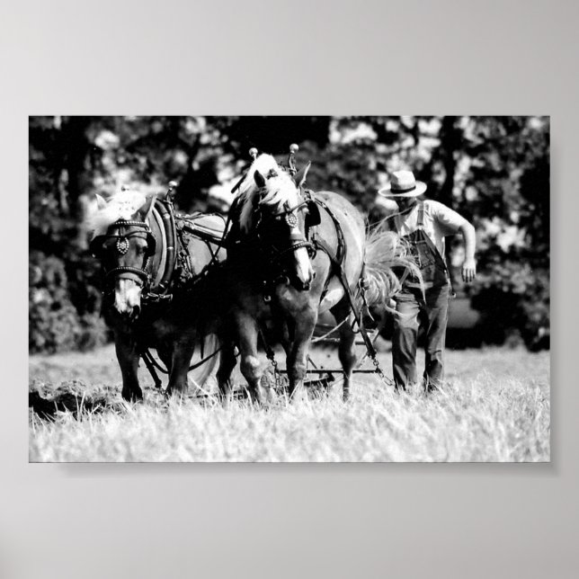 Plowing Poster (Framsidan)