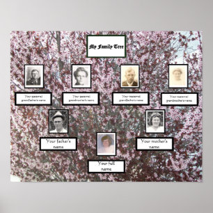 Plum Blommar Fotofamilj med tre Generation i Träd Poster