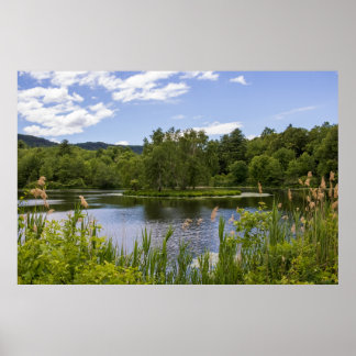 Plum Brook-dammen Poster