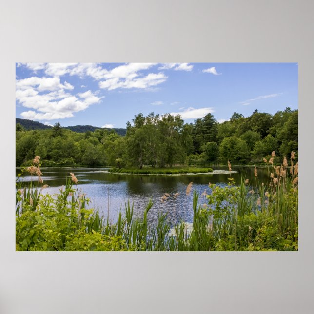 Plum Brook-dammen Poster (Framsidan)