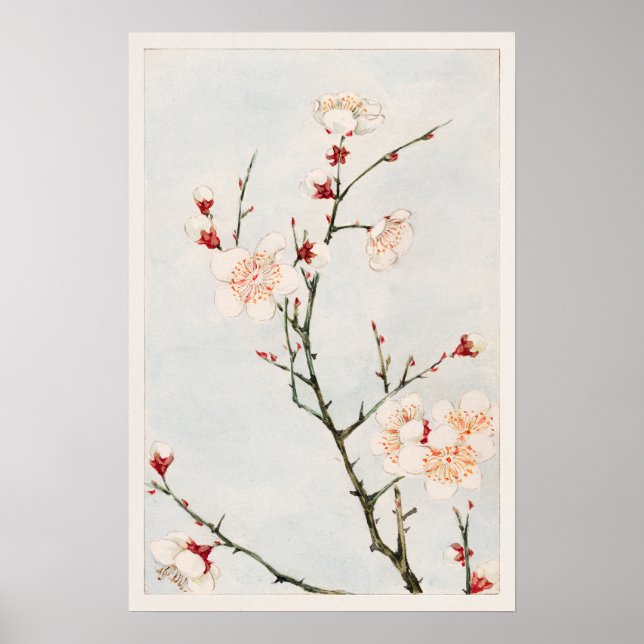 Plum Grenar med Blommar av Megata Morikaga Poster (Framsidan)