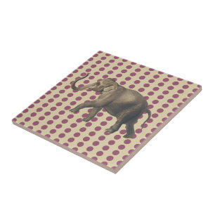 Plum Spice Moods Dots med Elephant Kakelplatta