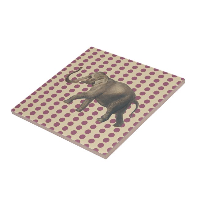 Plum Spice Moods Dots med Elephant Kakelplatta (Sidan)