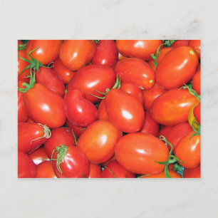 Plum Tomater Vykort