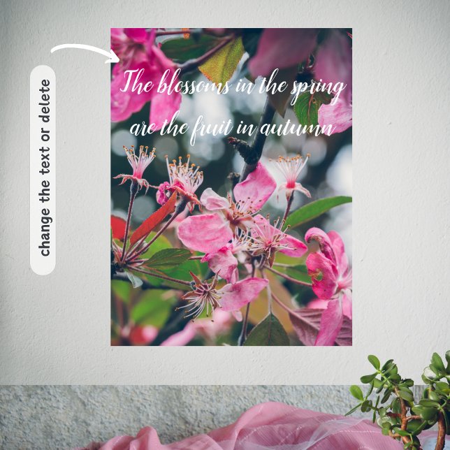 Plum Träd Gren med Rosa Flowers Poster (Skapare uppladdad)
