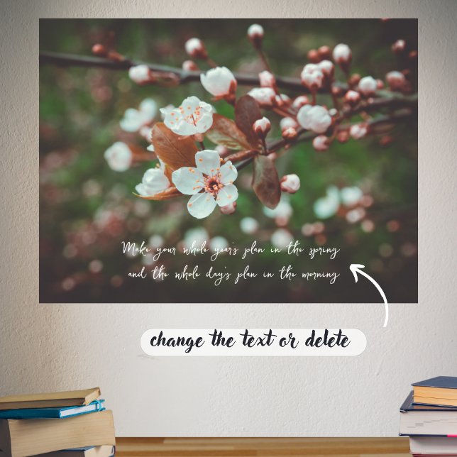 Plum Träd Grenar med vita blommor Poster (Skapare uppladdad)
