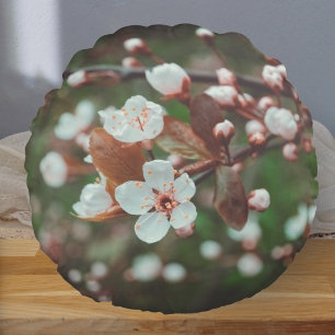 Plum Träd Grenar med vita blommor Rund Kudde