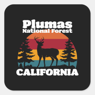 Plumas National Forest California Fyrkantigt Klistermärke