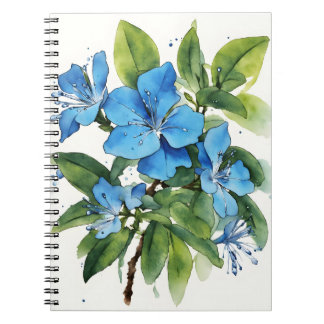 Plumbago Auriculata - Watercolor flowers Anteckningsbok