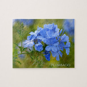 Plumbago - Blå sommarblommor Floral Fotografi Pussel