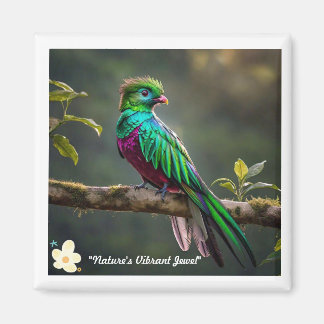 Plumed Beauty Magnet