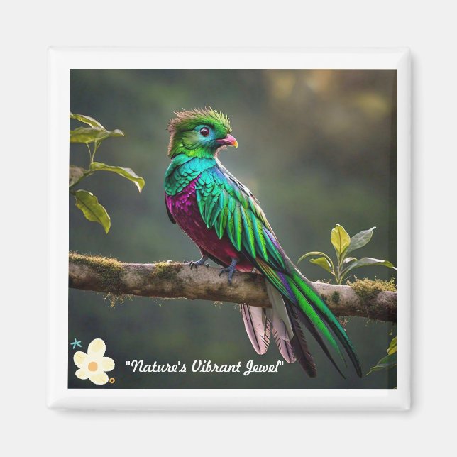 Plumed Beauty Magnet (Framsidan)