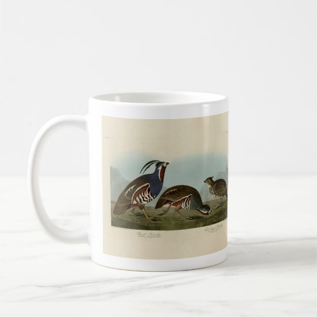 Plumed och tjock-legerade fåglar - Audubon's Birds Kaffemugg (Vänster)