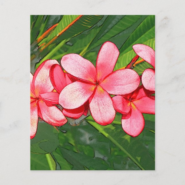 Plumeria (Framsida)