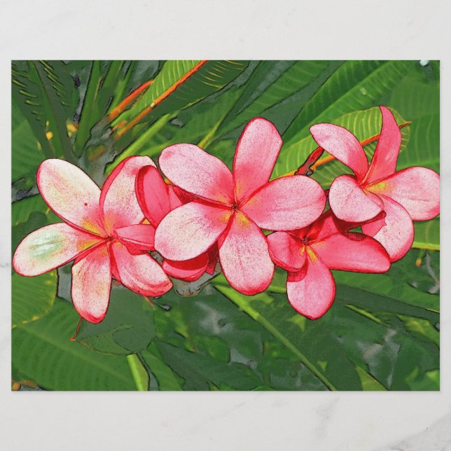 Plumeria (Framsida)