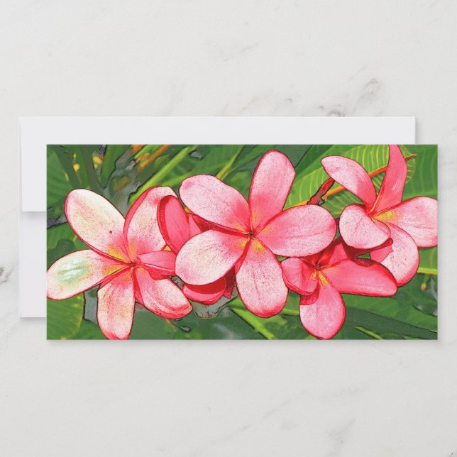 plumeria (Framsida)