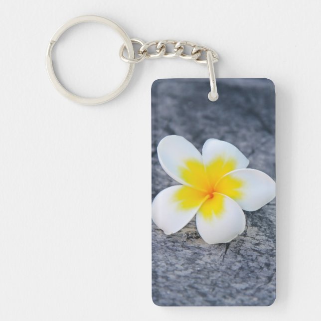plumeria (Framsidan)