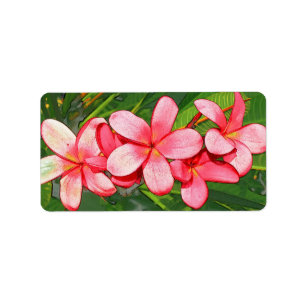 plumeria adressetikett