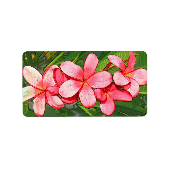 plumeria adressetikett (Framsidan)