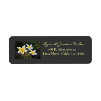 Plumeria-adressetiketter Returadress Etikett