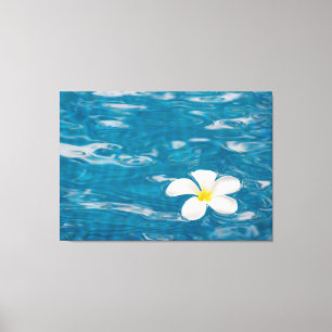 Plumeria Bassäng Wrapped Canvas Art
