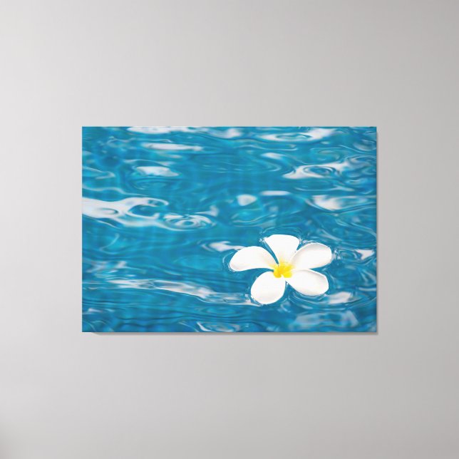 Plumeria Bassäng Wrapped Canvas Art (Framsida)