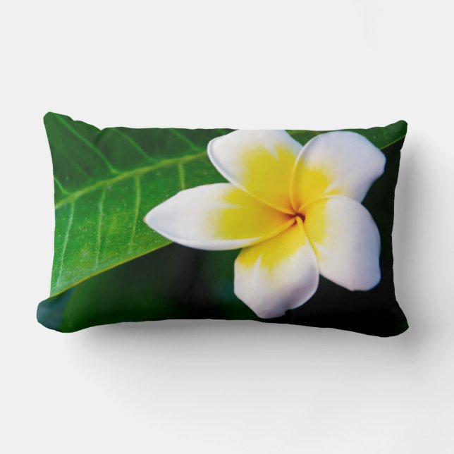 Plumeria Blomfotografering Lumbarkudde (Framsida)
