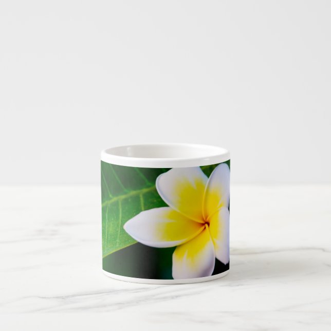 Plumeria Blomma Fotografi Espressomugg (Framsidan)