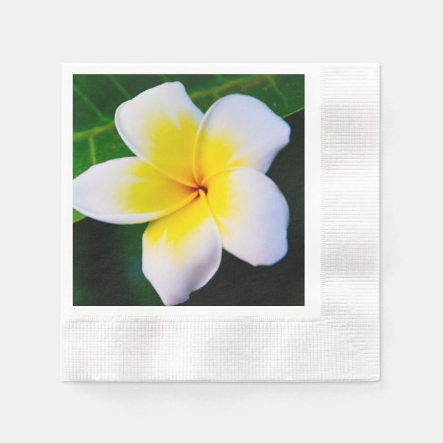 Plumeria Blomma Fotografi Pappersservett (Framsidan)