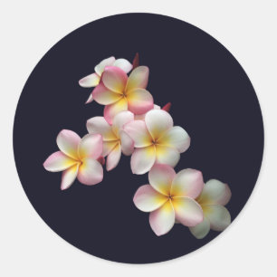 Plumeria blommar på mörk blått runt klistermärke
