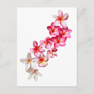 Plumeria Blommor Collage Vykort