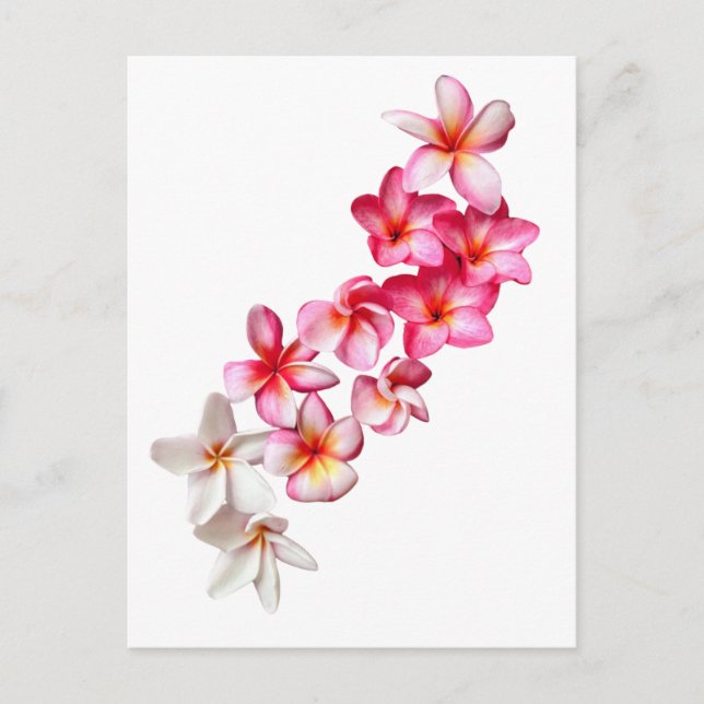 Plumeria Blommor Collage Vykort (Framsida)