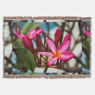 Plumeria-blommor, exotisk blomning filt
