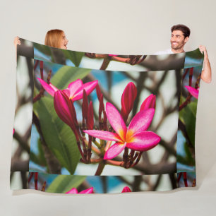Plumeria-blommor, exotisk blomning fleecefilt