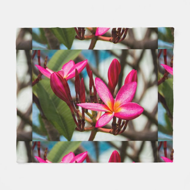 Plumeria-blommor, exotisk blomning fleecefilt (Framsidan (Horisontell))
