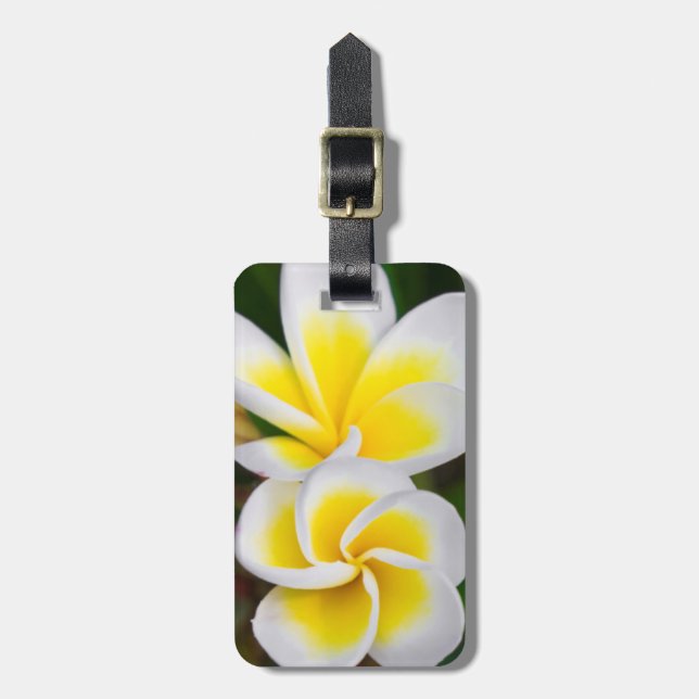 Plumeria blommor närbild, Hawaii Bagagebricka (Vertikal Framsida)
