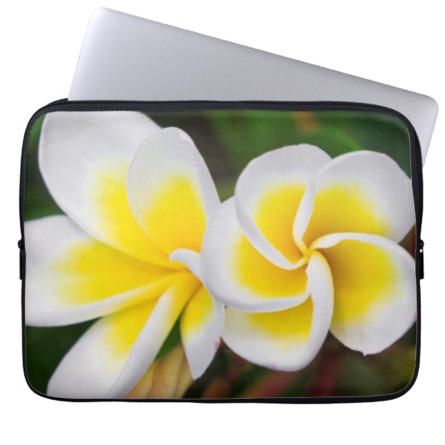Plumeria blommor närbild, Hawaii Laptop Sleeve (Framsidan)
