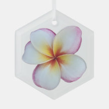 Plumeria Bloom Glas Ornament