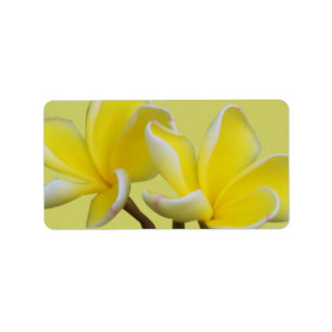 Plumeria Business Adress/Shipping Labels Adressetikett