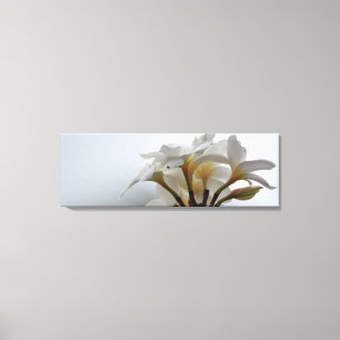 Plumeria Canvastryck