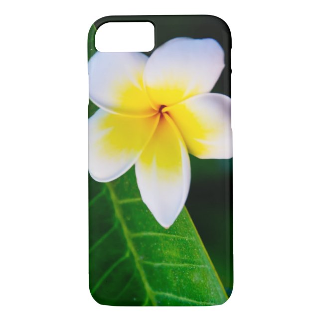 plumeria Case-Mate iPhone skal (Baksida)