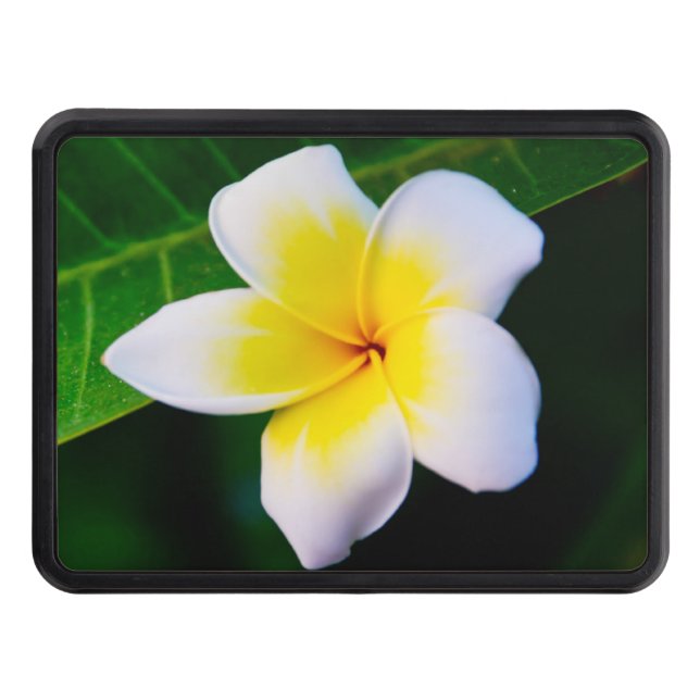 Plumeria Dragkroksskydd (Framsidan)