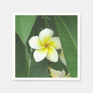 Plumeria Extreme Pappersservett