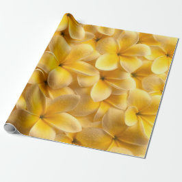 Plumeria Flower-Gult Presentpapper